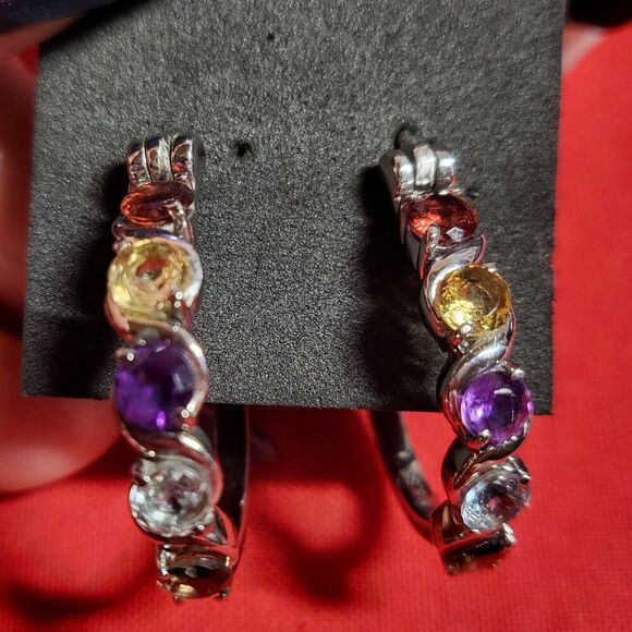 Multi Gemstone Stainless Steel Hoop Earrings - Picture 2 of 5